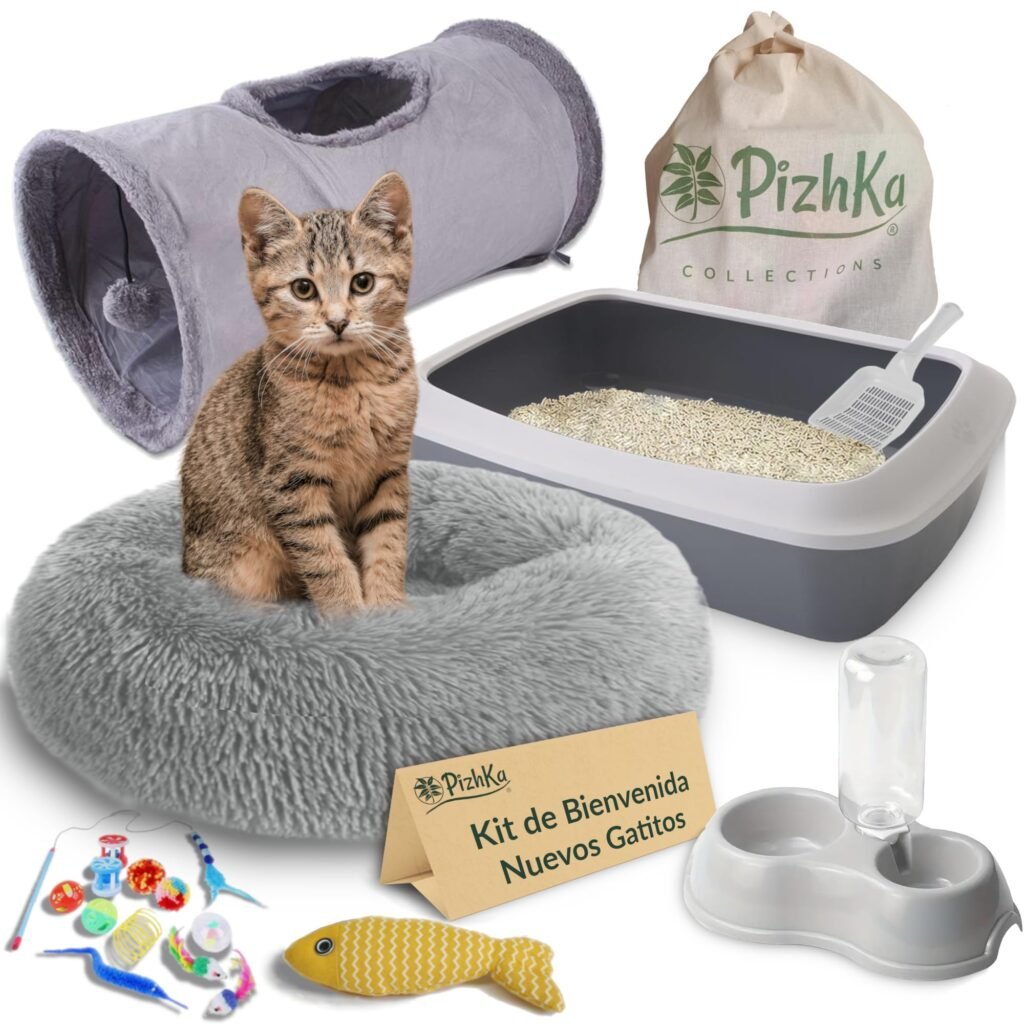 kit básico para tu gato en casa